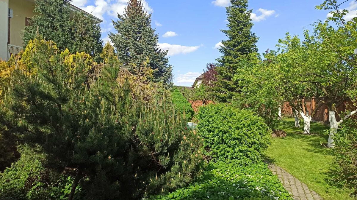 Продається будинок Київська, Києво-Святошинський, Лісники фото 1 Продається будинок Київська, Києво-Святошинський, Лісники фото 1