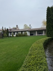 '          36