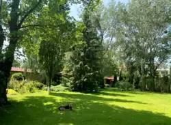 ��������� ������� �����, �����������, ������� ���� 39