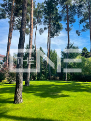 �������� ������� � �� Green Wood Club, ��������������� �������� �� ���� 52