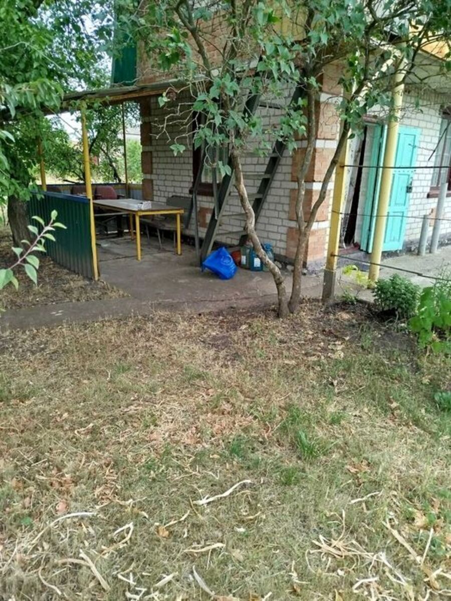 ������ ���� | �� ������������ ���� 1