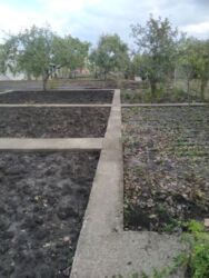 ������ ���� ������ ������� �����������. ���� 6