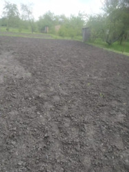 ������ ���� ������ ������� �����������. ���� 11