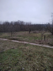 Продам дачну ділянку з будинком, 14 соток — житловий стан фото 1 Продам дачну ділянку з будинком, 14 соток — житловий стан фото 1