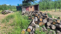 ��������� ������� � �. ������. (�������������). ���� 6