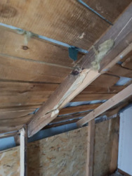 Будинок під відновлення. фото 9 Будинок під відновлення. фото 9