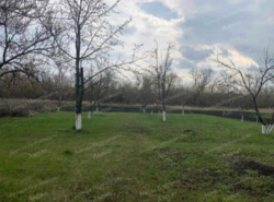 Продаж 2-х поверхового будинка селище Вільне фото 8 Продаж 2-х поверхового будинка селище Вільне фото 8