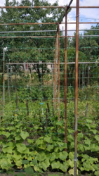 Продається будинок (дача) р-н Велика Балка фото 5 Продається будинок (дача) р-н Велика Балка фото 5