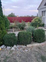 Продам будинок На П. Новом фото 5 Продам будинок На П. Новом фото 5