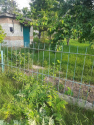 Продам дачний будинок в кооперативі Комунальник. фото 5 Продам дачний будинок в кооперативі Комунальник. фото 5