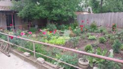 ������ ������� ���� 7