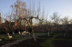 ������ ���� ������� �� ����� ������. ���� 10