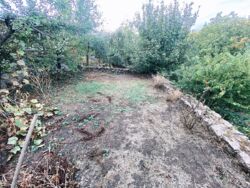 Добротний будинок. Озерна Балка фото 10 Добротний будинок. Озерна Балка фото 10