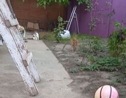 ������� ������� � ������� ������ ���� 3