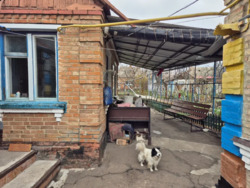 ������ ������� ���� 5