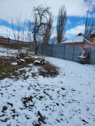 ������ ������� � ��� �������� ���� 12