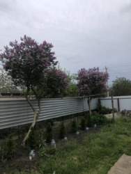 ������ ������� � �������������� ���� 5