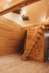 ������ ����������� ��������� ������� ����� ���� 6