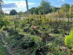 ������ ������������� ������� ������ ����. ���� 10