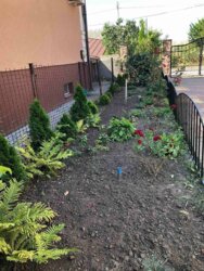 Продам добротний будинок Лелеківка фото 4 Продам добротний будинок Лелеківка фото 4