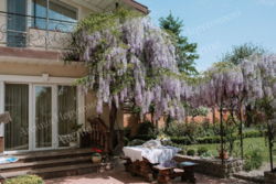 ������ ������� ��� ���.���� ���� 3