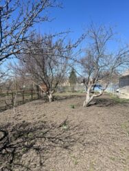 ������ ���� � �� ó������� ���� 2