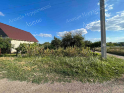 ������ ������������� ������� ������ ����. ���� 8