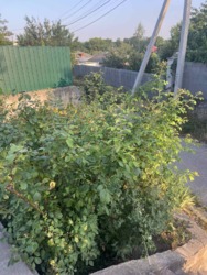 ��������� �������� ������� �� �, �����. ���� 18