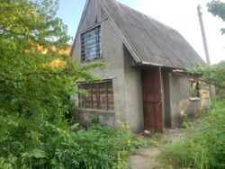 ������ ���� ������. ���� 7