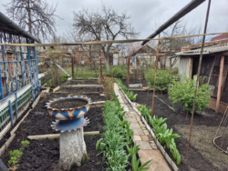 ������ ������� ���� 7