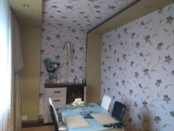 Затишний будинок в передмісті Кропивницького фото 13 Затишний будинок в передмісті Кропивницького фото 13