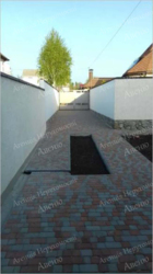 ������ ������� ����� ���������� ���� 12