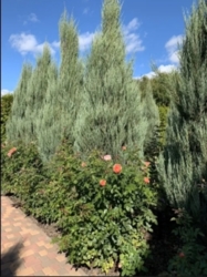 Продаж будинка поблизу центру міста фото 2 Продаж будинка поблизу центру міста фото 2