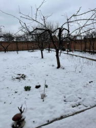 ������ ���� ������� �� ����� ������. ���� 6