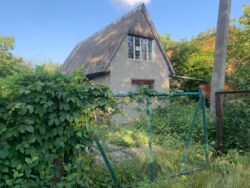 ������ ���� ������. ���� 1