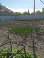 ��������� ������� �� ������� ���� 8