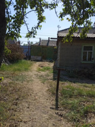 ������ ������ 10 ����� � ��������� �� ����������� ���� 21