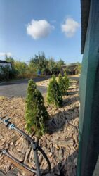 Продаж дачі під житло кооператив Ятрань фото 13 Продаж дачі під житло кооператив Ятрань фото 13