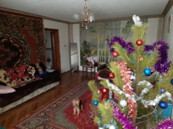 ������ ������� ����� �������� ���� 4