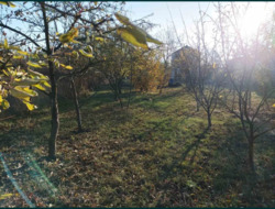 ������ ���� � ��� ������� 3000 ���� 5