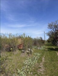 Продаж дачних ділянок в кооперативі Катеринівка 2га лінія фото 4 Продаж дачних ділянок в кооперативі Катеринівка 2га лінія фото 4