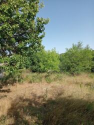 Продається дача СТ «Дружба» фото 3 Продається дача СТ «Дружба» фото 3