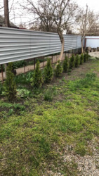 ������ ������� � �������������� ���� 13