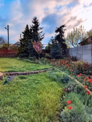 ������ ������� �� ��������. ���� 18