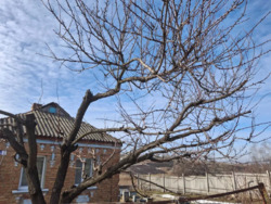 �������ʳ������������� �����. ���� 1