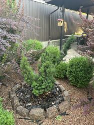 Продаж будинку в Лісопарковій зоні біля озера пров. Куринной. фото 14 Продаж будинку в Лісопарковій зоні біля озера пров. Куринной. фото 14