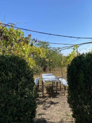 Продам дачу в СТ 'Будівельник' фото 31 Продам дачу в СТ 'Будівельник' фото 31