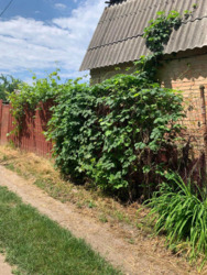 ��������� ������������� ���� �� ���������� ���� 3