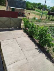 ������ ���� | �� ������������ ���� 10