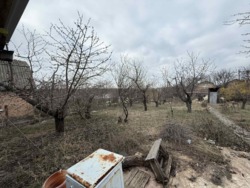 ������ ���� � ������� ���������� ������ ���� 16